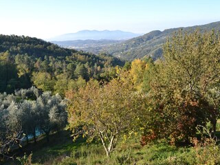 Holiday house Uzzano Environment 32