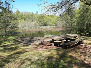 Vakantiehuis Aalbæk  16