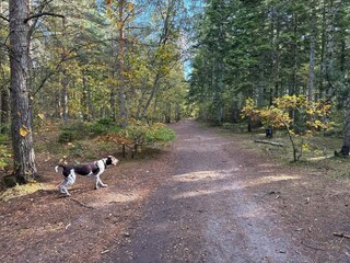 Vakantiehuis Aalbæk  35