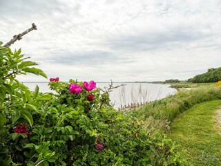 Holiday house Eskov Strandpark  14