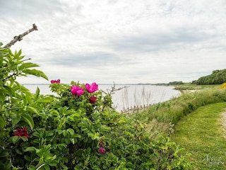 Holiday house Eskov Strandpark  21