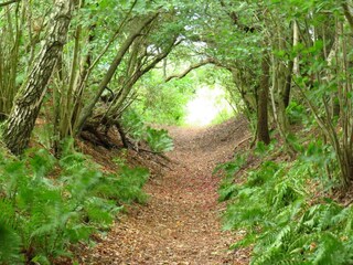 Casa per le vacanze Eskov Strandpark  15