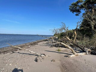 Casa per le vacanze Eskov Strandpark  26