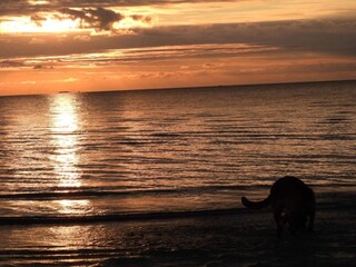 Casa per le vacanze Vig  28