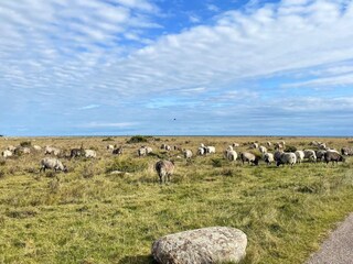 Ferienhaus Hulterstad  25