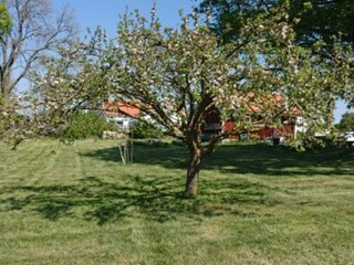 Ferienhaus Hulterstad Außenaufnahme 13