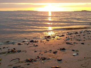 Maison de vacances Trend  28