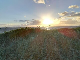 Vakantiehuis Trend  29