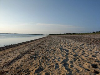 Maison de vacances Trend  31