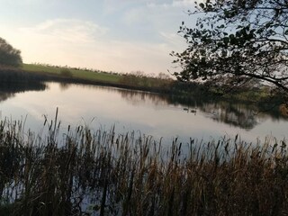 Casa de vacaciones Trend  13