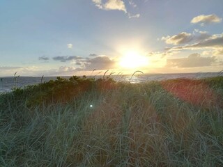 Vakantiehuis Trend  24