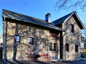 Holiday house Rustic holiday home in Halleux - Vielsalm - image1