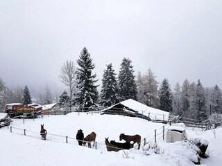 Casa de vacaciones Fiesch Entorno 33