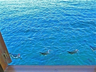 Landhaus Sanxenxo Umgebung 16