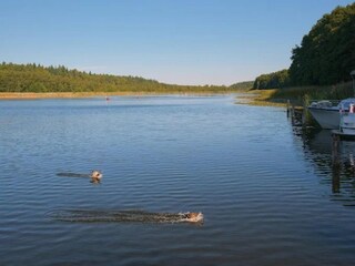 Vakantiehuis Granzow Omgeving 18