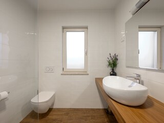 Villa Kanfanar Características 18