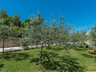 Appartamento per vacanze Ravni Caratteristiche 10