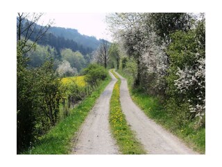 Casa per le vacanze Küstelberg  22
