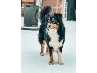 Ferienwohnung Quakenbrück Außenaufnahme 3