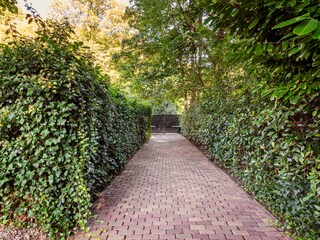 Appartamento per vacanze Schoorl Registrazione all'aperto 8