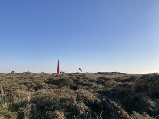 Holiday apartment Schiermonnikoog Environment 40