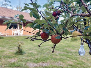 Casa per le vacanze Hals  31