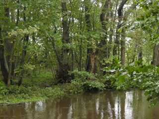 Ferienhaus Frederikshavn  28