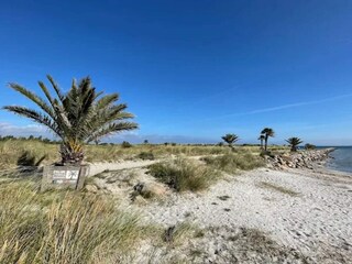 Casa per le vacanze Frederikshavn  10