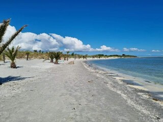 Maison de vacances Frederikshavn  11