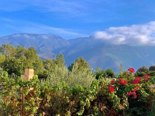 Ferienhaus Orgiva Umgebung 33