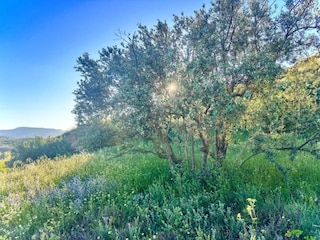 Holiday house Orgiva Environment 37