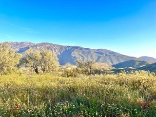 Casa per le vacanze Orgiva Ambiente 38