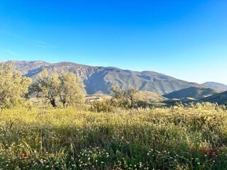 Ferienhaus Orgiva Umgebung 37