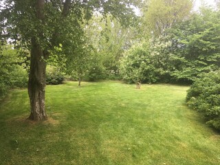 Villa Sint Maartenszee Ambiente 22