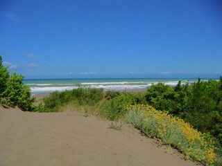 Ferienhaus Sassetta Umgebung 28