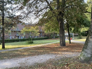 Park vor der Haustür