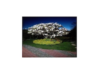 Vakantiepark Misdroy  25