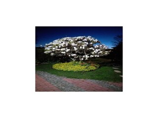 Vakantiepark Misdroy  28
