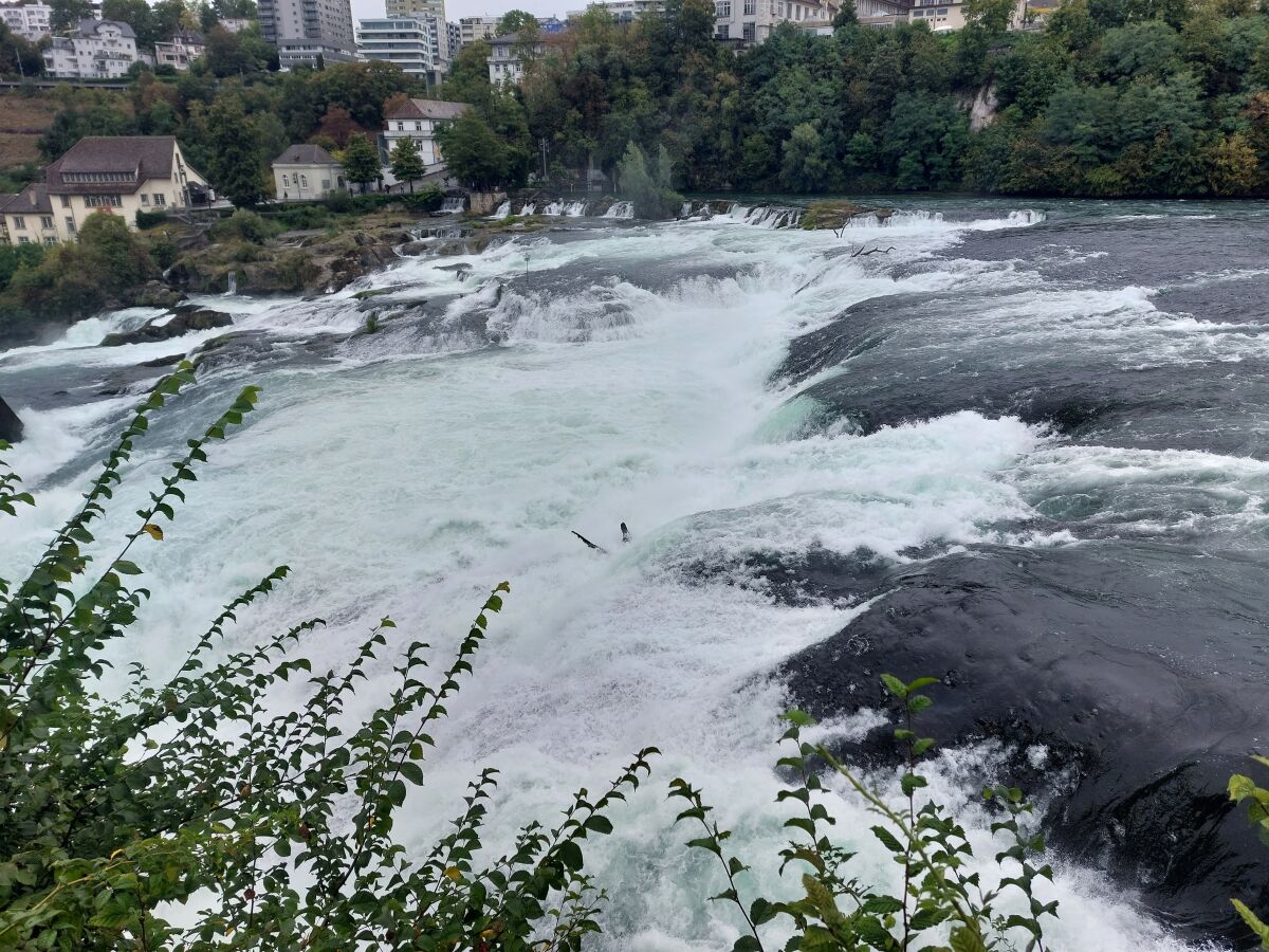 Rheinfall in Schaffhausen Schweiz