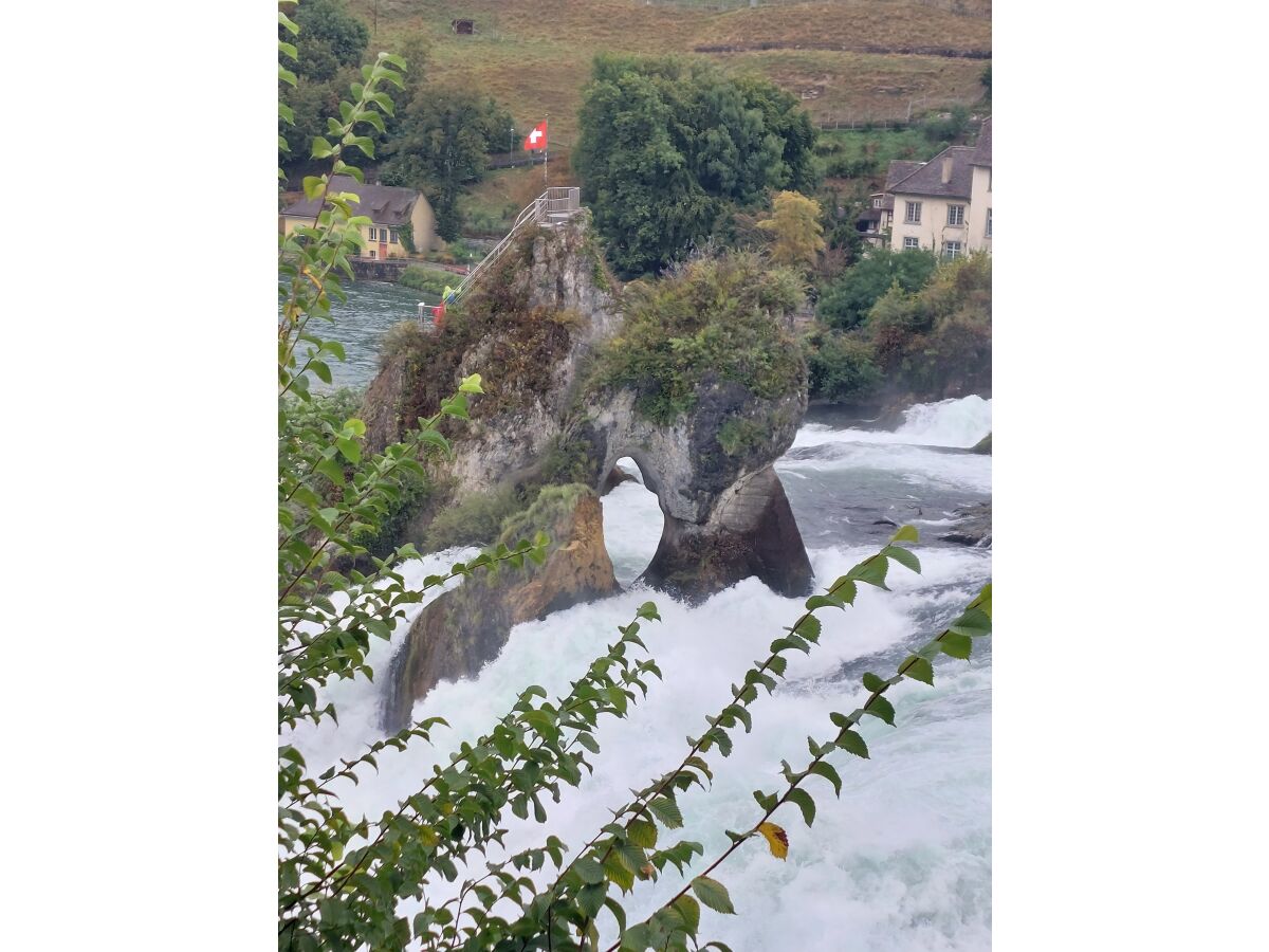 Rheinfall in Schaffhausen Schweiz