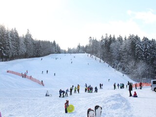Ski slope with drag lift in Neuhausen OB Eck
