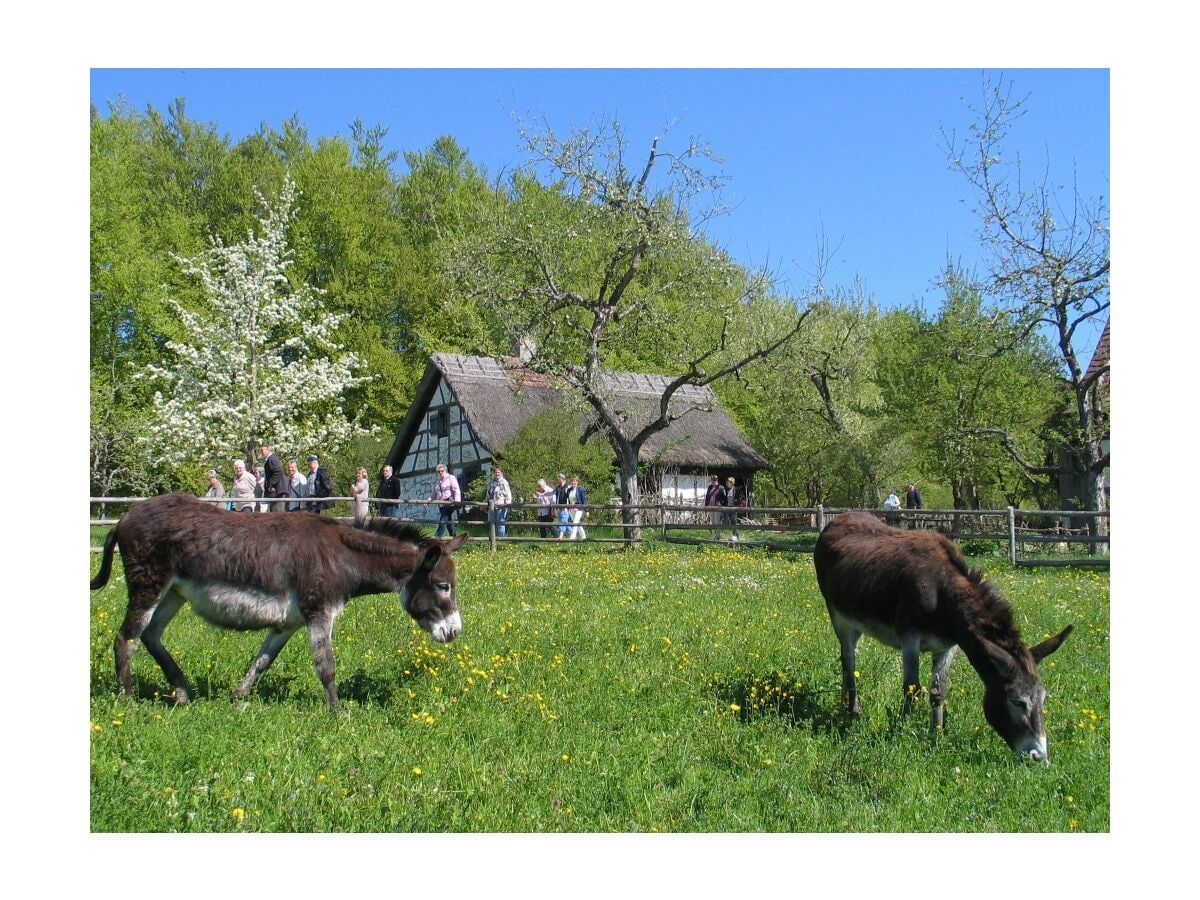 Freilichtmuseum in Neuhausen ob Eck