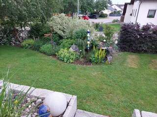 Outdoor area in summer