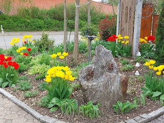 Frühling