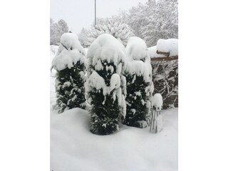 Holiday apartment Neuhausen ob Eck Outdoor Recording 8