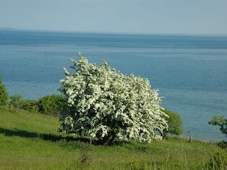 Der Blick auf die Ostsee