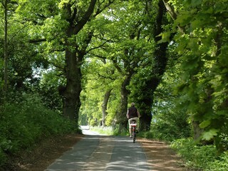 Appartement de vacances Göhren Environnement 35