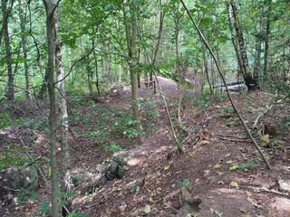 Vakantiehuis Arrild  10