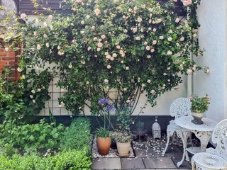 Vakantiehuis Kivik Buitenaudio-opname 5