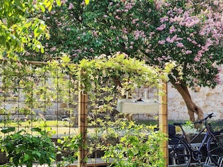 Ferienhaus Kivik Außenaufnahme 6